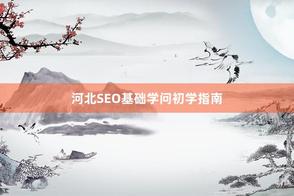 河北SEO基础学问初学指南