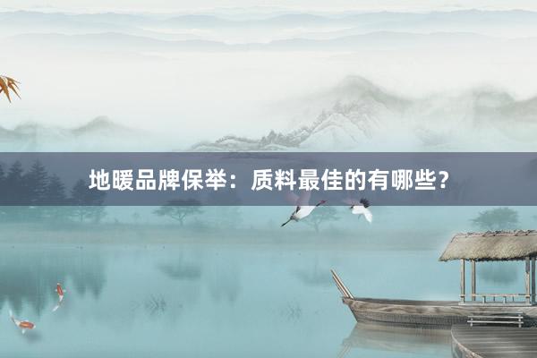 地暖品牌保举：质料最佳的有哪些？