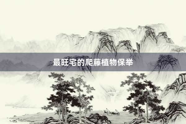 最旺宅的爬藤植物保举