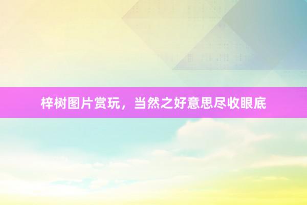 梓树图片赏玩，当然之好意思尽收眼底